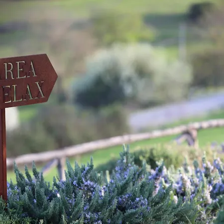 Le Piccole Macie * Magliano in Toscana